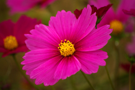 ファイル nature20091024_2-5.jpg